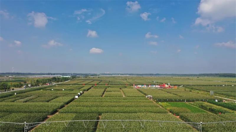 1634201929290104.jpg 11.jpg