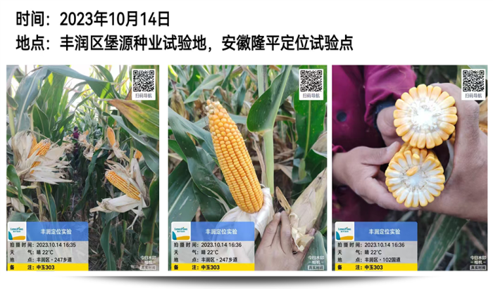 1747640616302169.png 圖片62.png