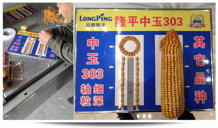 1747640640311487.png 圖片63.png